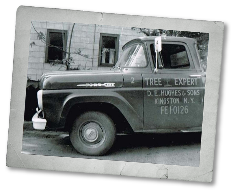 vintage photo of Hughes famiy truck that says tree experts on the side