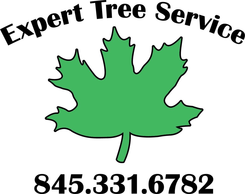 Expert Tree Service Hudson Valley Tree Removal & Trimming Since 1936