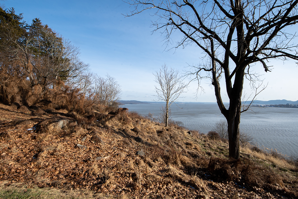 What does El Nino mean for tree care in the Hudson Valley?
