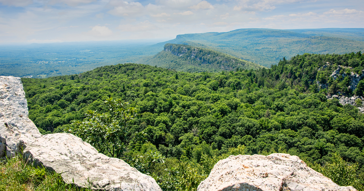 A Hudson Valley Breakdown of Forests, Development and Tree Risks