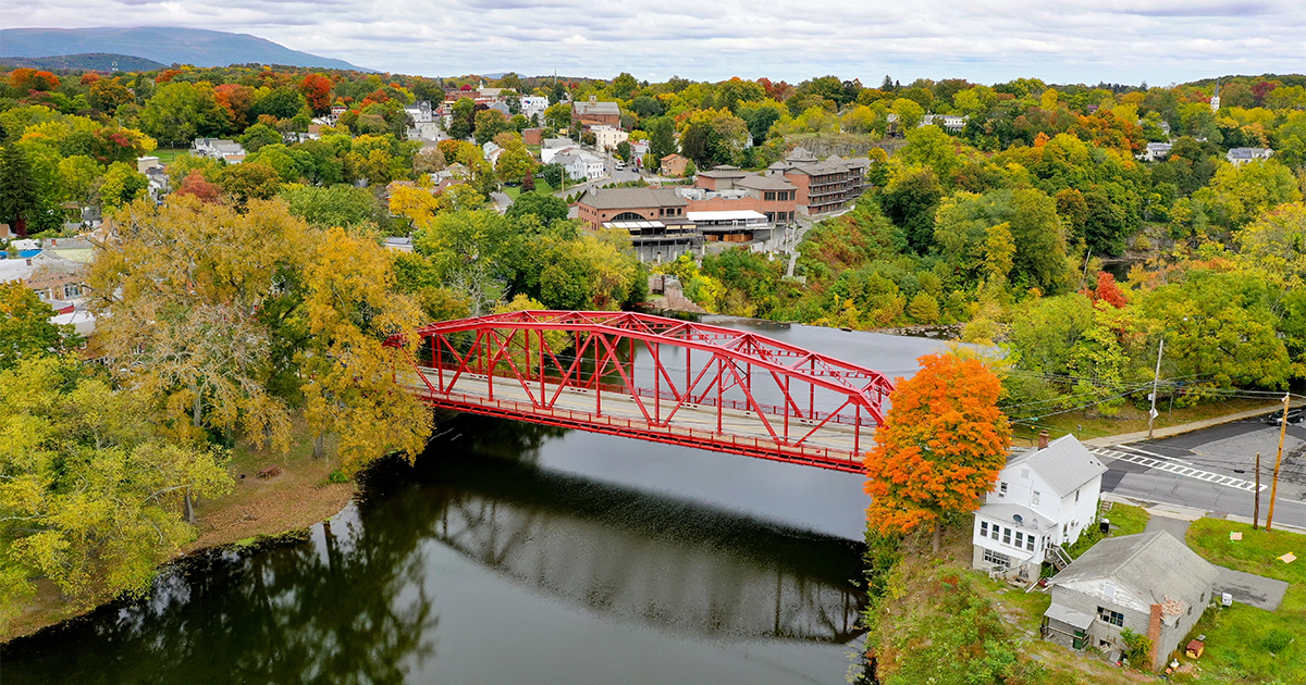 Tree Removal Near Esopus Creek in 2025: What Actually Requires a DEC Permit?