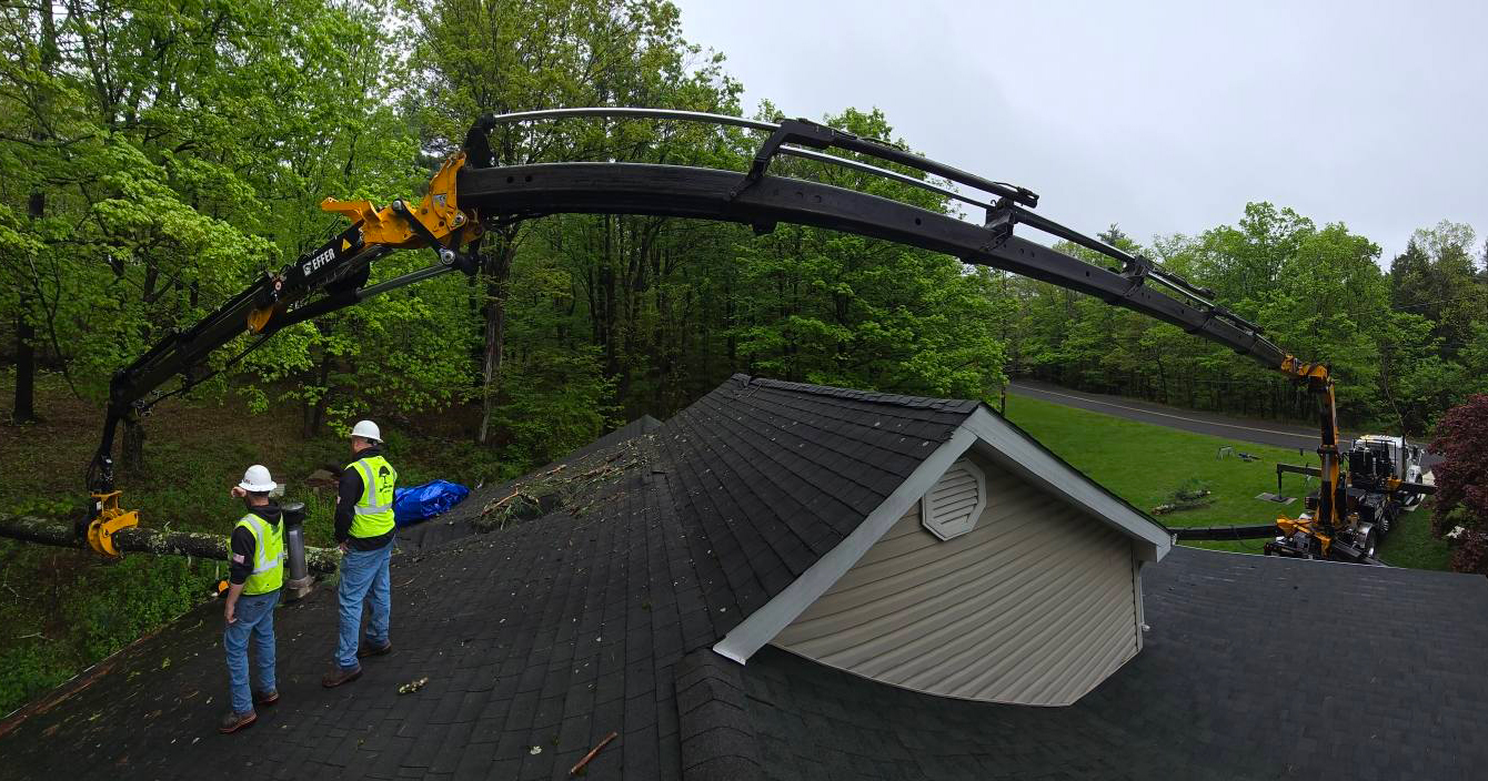 Hudson Valley Tree Removal: Why a Crane is Your Best Friend for Tough Jobs