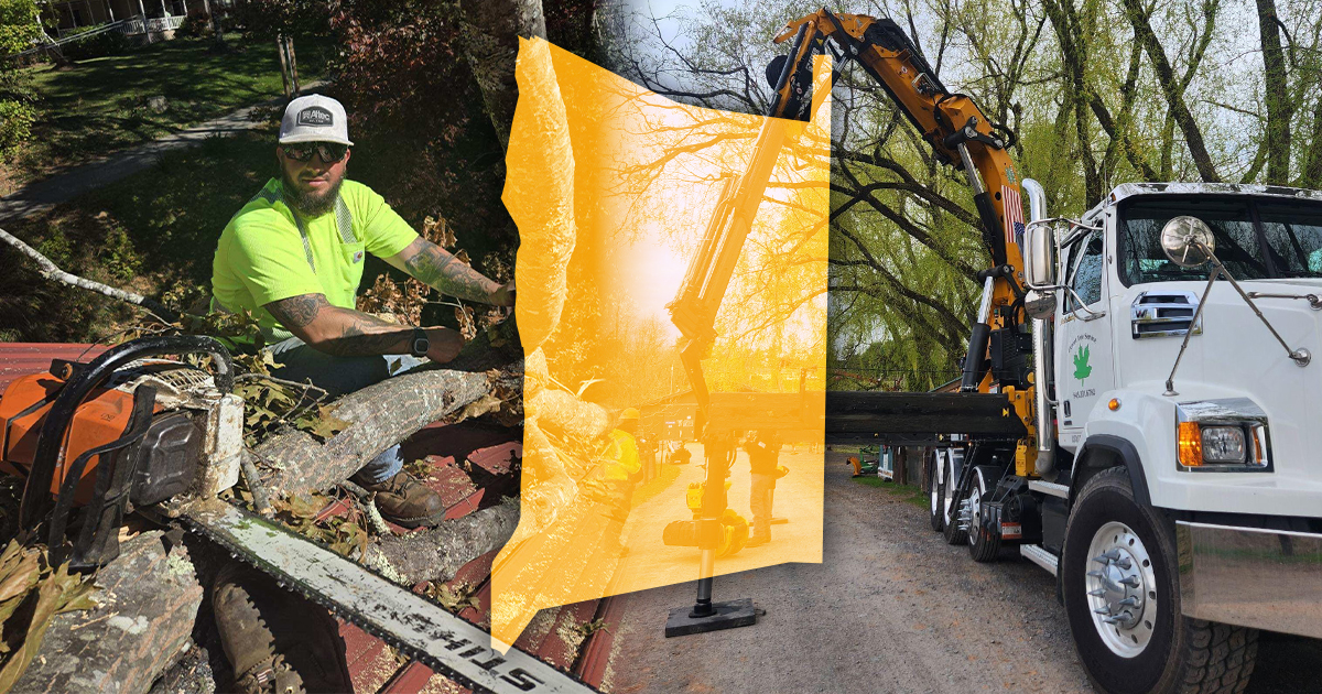 Tree Removal in Dutchess County, NY: What Every Homeowner Should Know